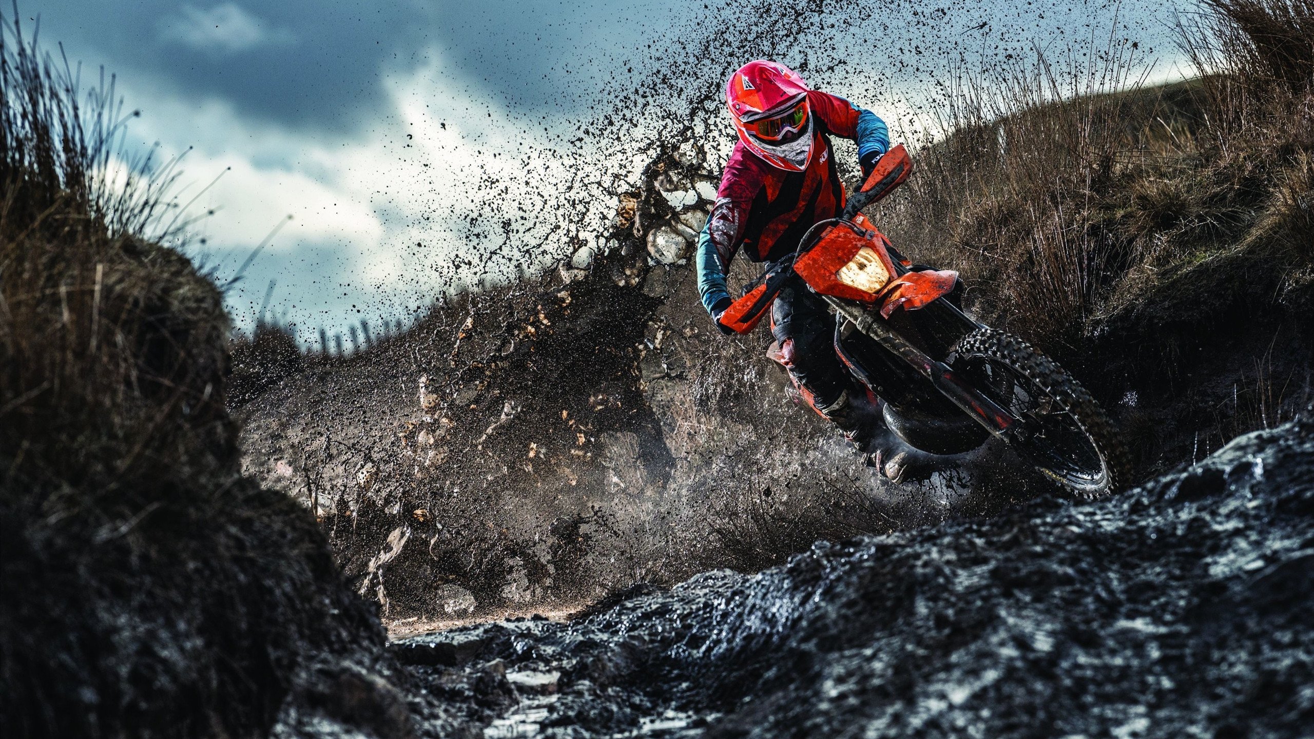 意式蛙泳硬核出击 切拉苏奥洛冲出风采